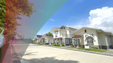 Royal Palms