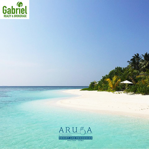Aruga